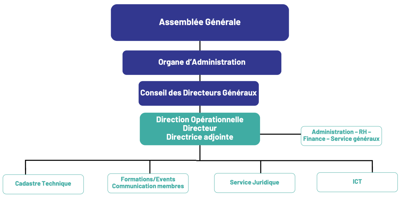 organigramme