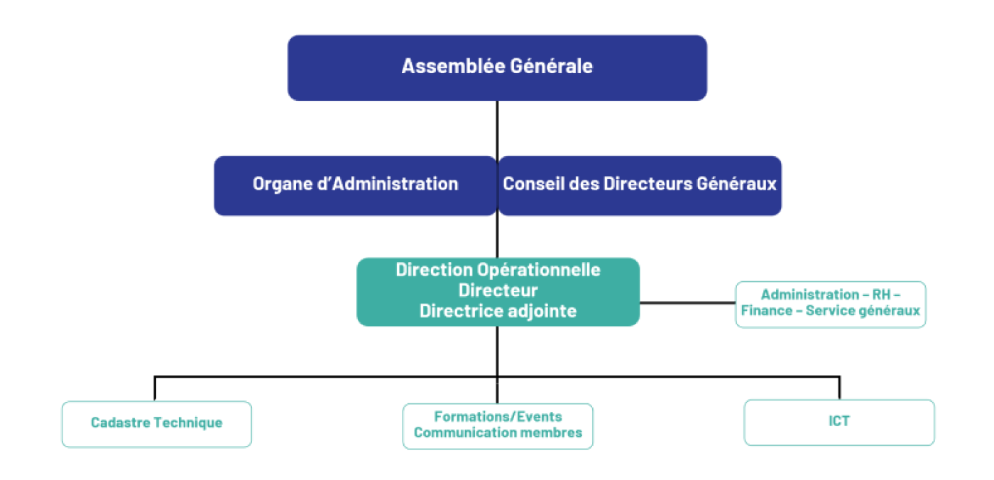 organigramme